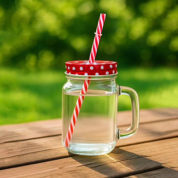 Drinking Cup / Glass / Mug Mason Jar with Handle & Straw